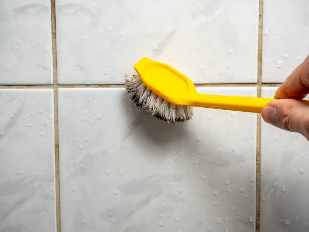Certified Mold Removal in Indian Hills, TX