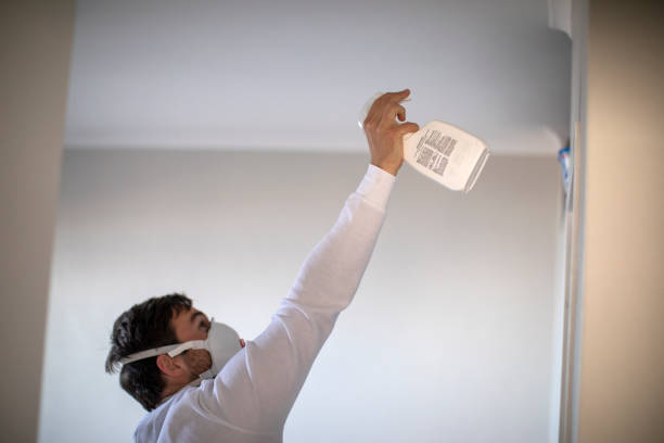 Best Mold Removal Specialists  in Indian Hills, TX