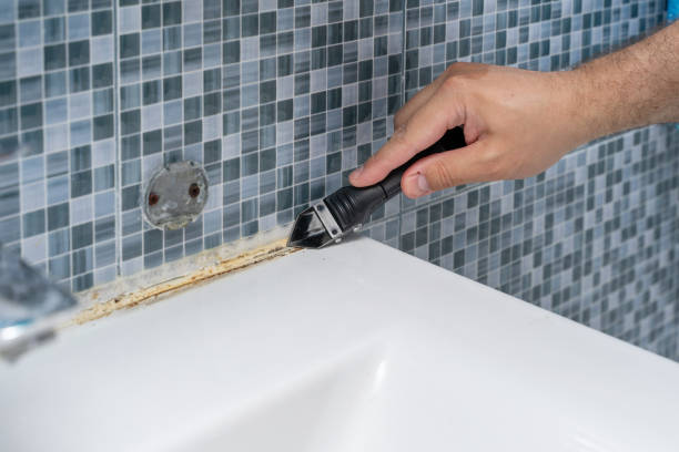 Office Mold Removal Services in Indian Hills, TX