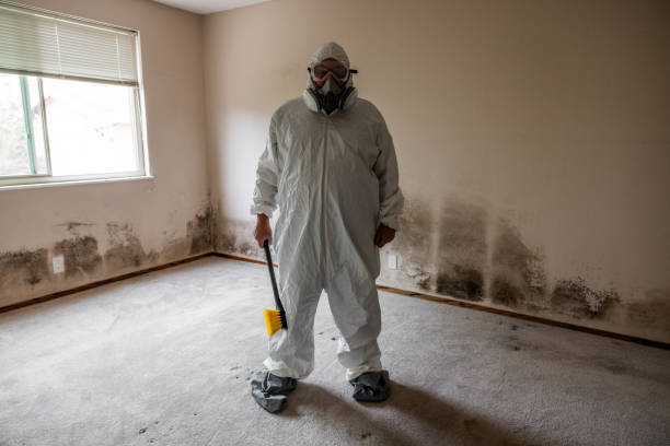 Best Black Mold Removal  in Indian Hills, TX
