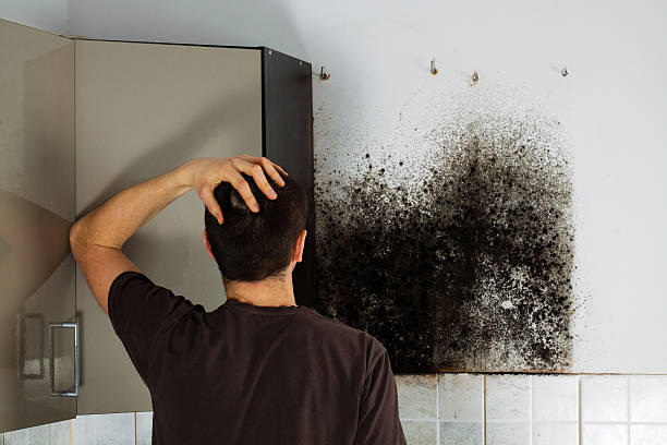 Best Commercial Mold Removal  in Indian Hills, TX